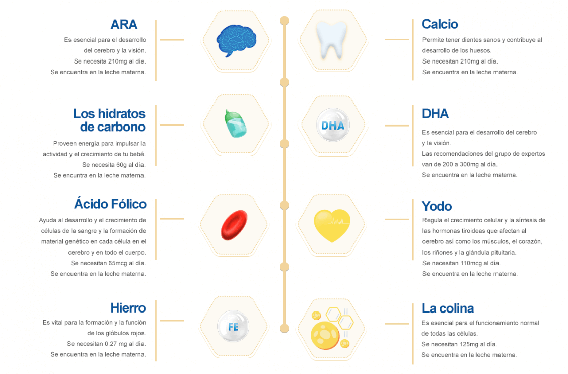 Conoce los nutrientes claves para tu bebé