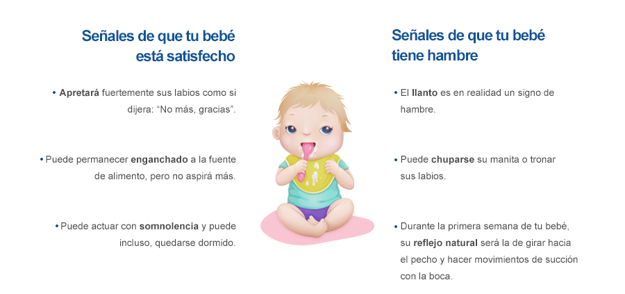 ¿Tu bebé está satisfecho o aún tiene hambre? etapa 0 a 6 meses