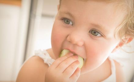 Cuidando la alimentación de tu bebé. Etapa 18 a 21 meses